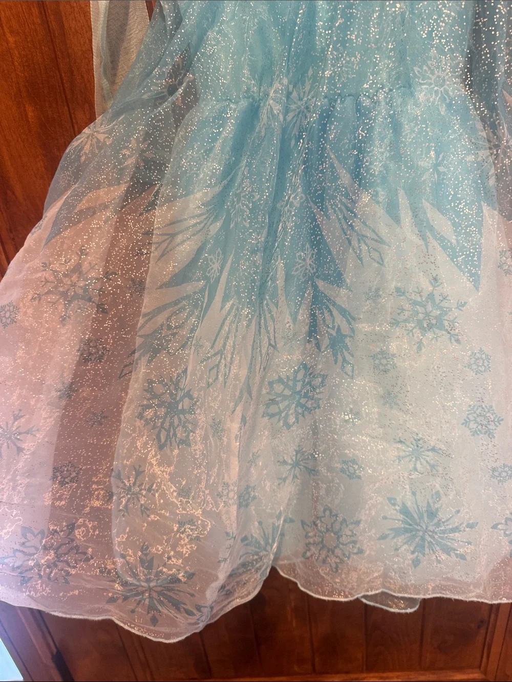 Disney Elsa Costume for Kids